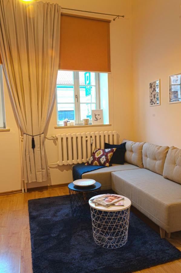 Apartament Ducha No'7 Stary Toruń Eksteriør billede